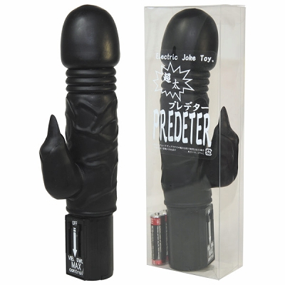 �v���f�^�[�i�o�C�u�j