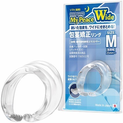 �}�C�s�[�X���C�h�@�\�t�g��p�@�i�l�j�i�y�j�X����E��s �����j