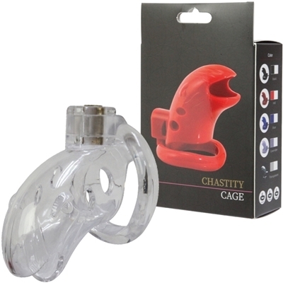 �`�F�X�e�e�B�P�[�W�@�i�N���A�j�iSM�E�S����j