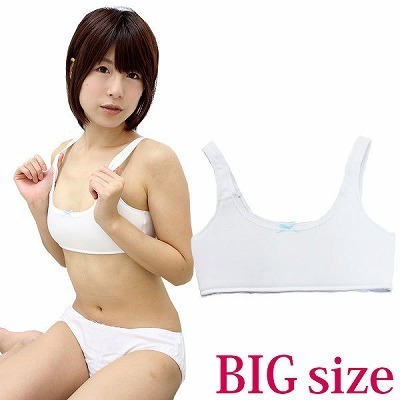 �t�@�[�X�g�u���i�X�|�u���E�X�|�[�c�u���j�@�u���[���{���@�a�h�f�i�R�X�`���[���j