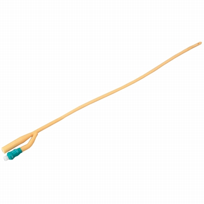 �o���[���J�e�[�e���@�P�S�e���i��Ìn���j