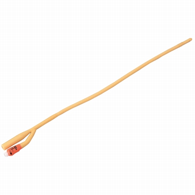 �o���[���J�e�[�e���@�P�U�e���i��Ìn���j