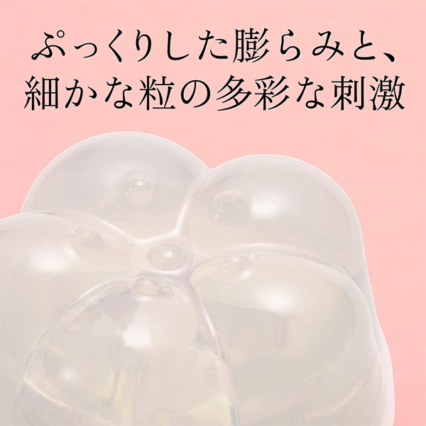 �����������i�C���n�j�@�v���W���[�E�A�C�e���E�v�`�@�i�o�k�t�l�j