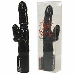 �N�l�X�g���[�N(�o�C�u)