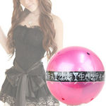 �p���e�B�{�[���@�z�X�e�X(����A�C�e��)