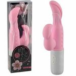 �����������o�C�u(�o�C�u)