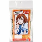 �{���g�p�ς݁@�i���q�Z���̃u���W���[�j(����A�C�e��)