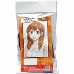 �{���g�p�ς݁@�i�n�k�̃u���W���[�j(����A�C�e��)