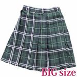 �X�e�b�`����`�F�b�N���v���[�c�X�J�[�g�@�a�h�f(�R�X�`���[��)