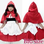 �Ԃ�����@�a�h�f(�R�X�`���[��)