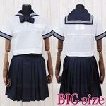 私立女子学園中学校・高等学校のセーラー服(夏服)BIG(コスチューム)