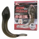 �A�i�N���[�U�[�@�i�P�j(�A�i���g���O�b�Y)