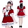 いつかのメリークリスマスサンタ(コスチューム)